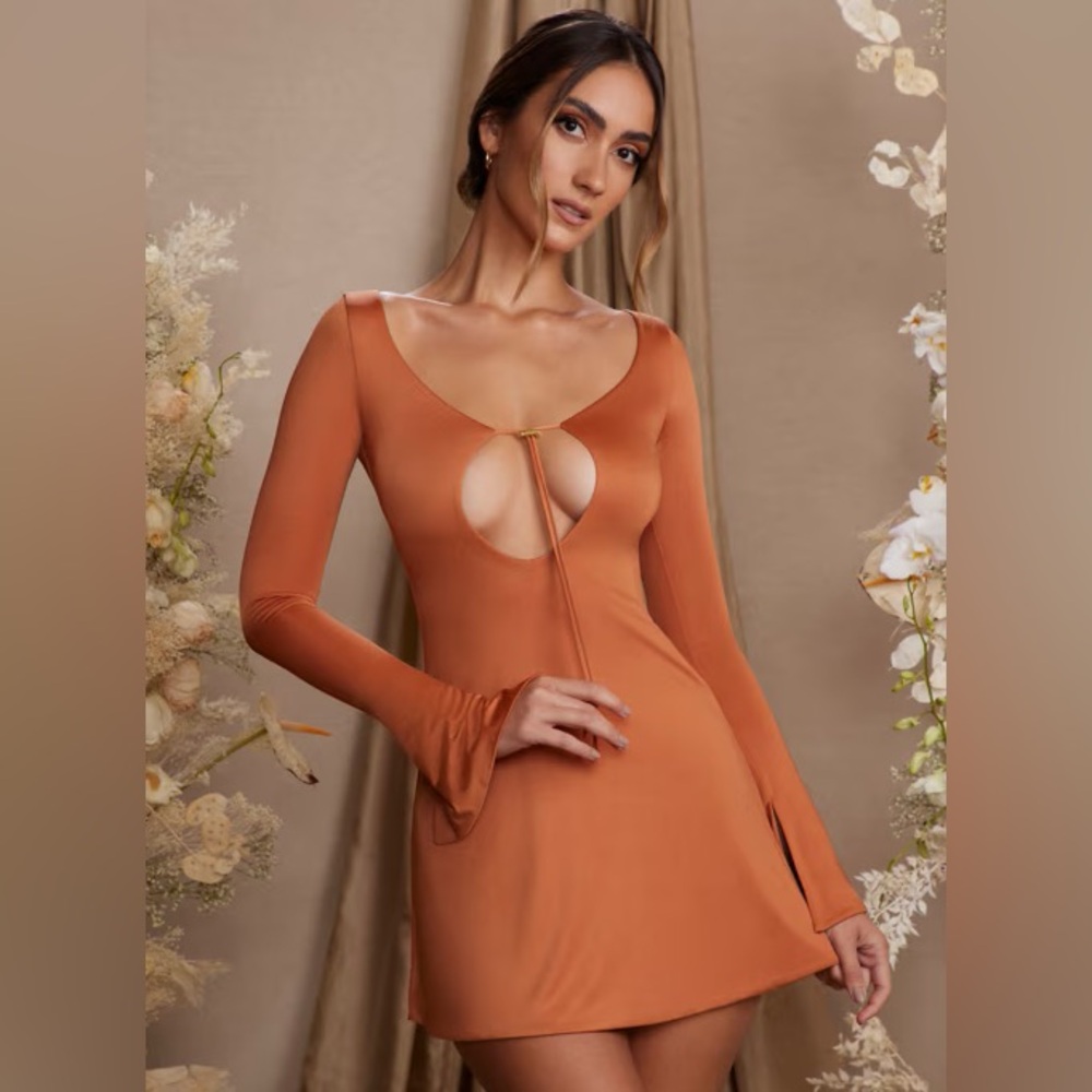 LAST CHANCE Oh Polly Dress